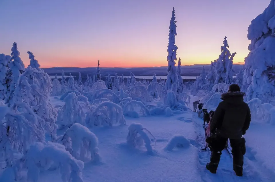 Polarlicht-Huskyfahrt, Kiruna