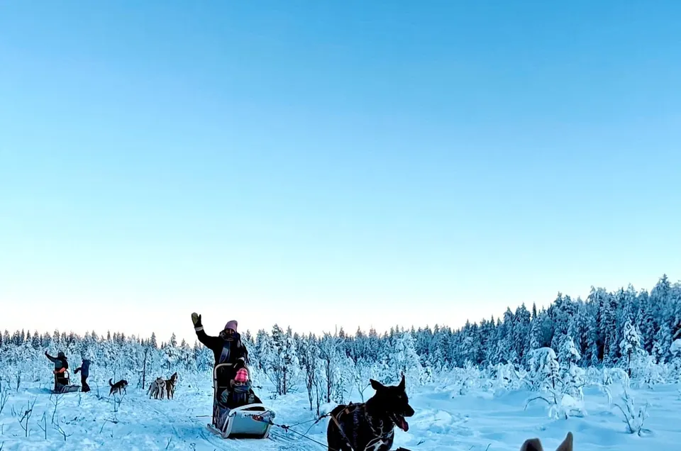 Husky-Safari in kleiner Gruppe mit Kota-Feuer, Rovaniemi