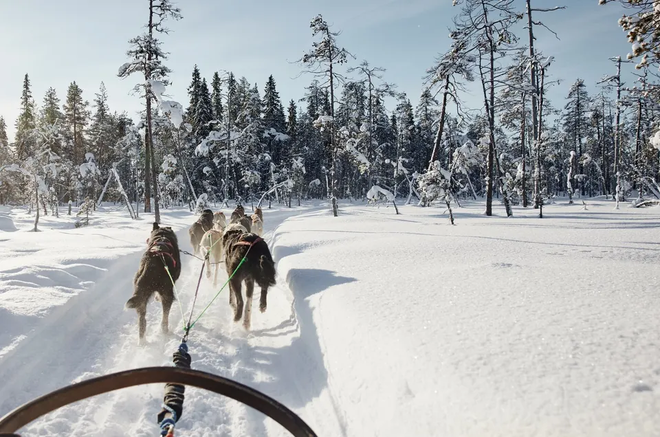 2,5-km-Huskyfahrt im Santa Claus Village