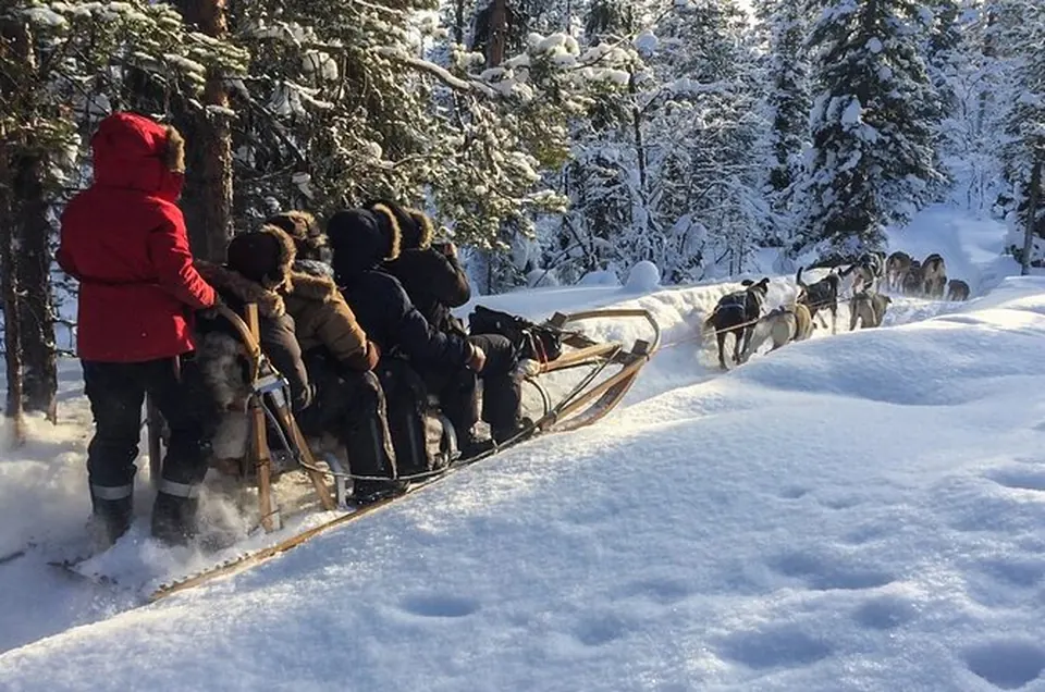 Husky-Familienfahrt im Sitzen, Kiruna