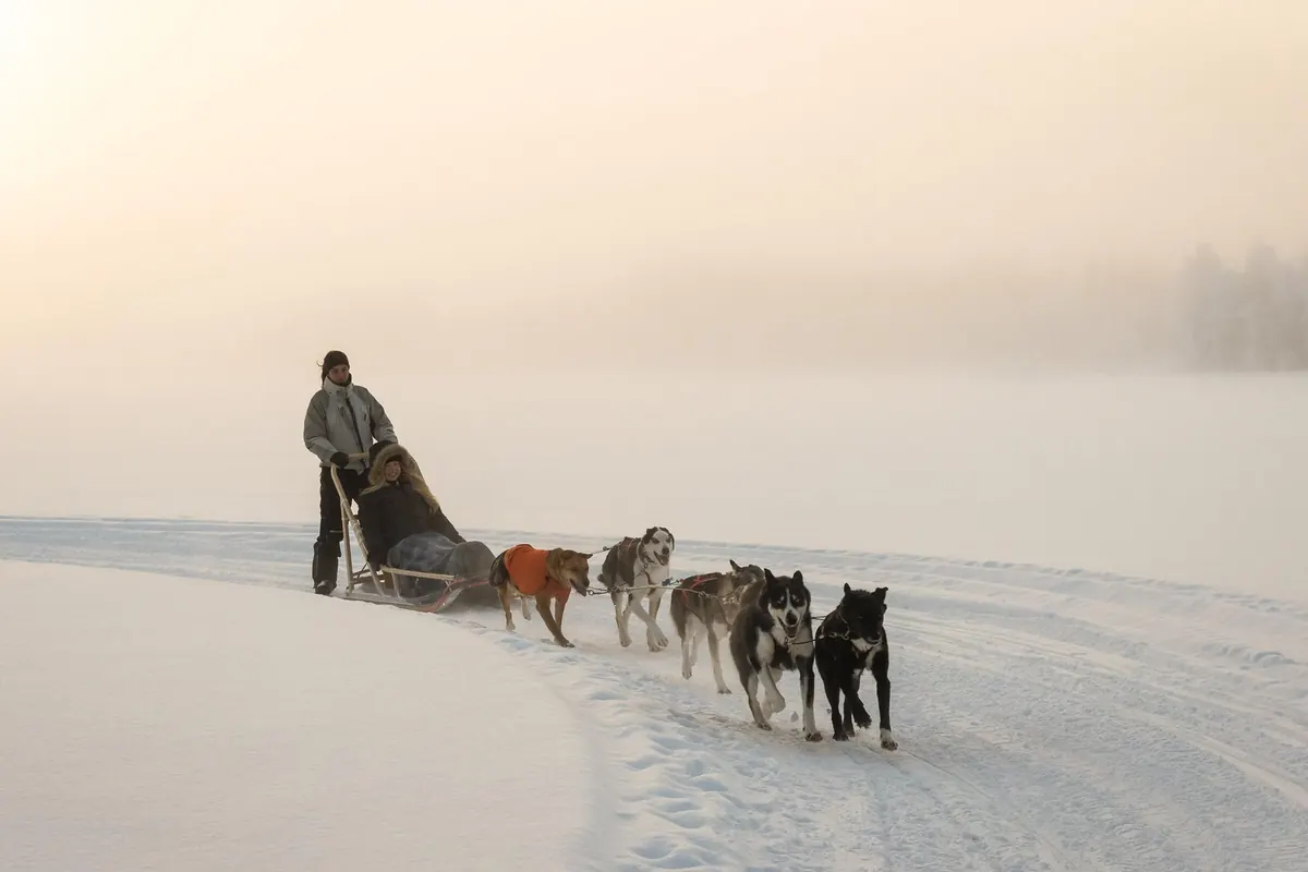 Ein Schlitten mit Hundegespann auf einem nebligen, gefrorenen See