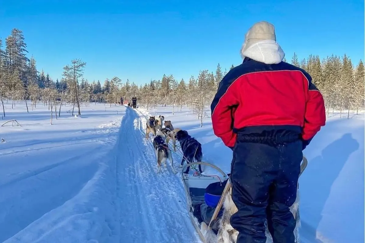 A guest in a red jacket standing on the sled runners, seen from behind, under blue sky